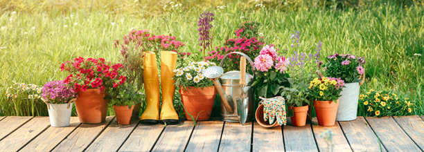 A photo of flowerpots, rainboots, and a watering can, which all all filled with flowers. A meadow can be seen in the background. 